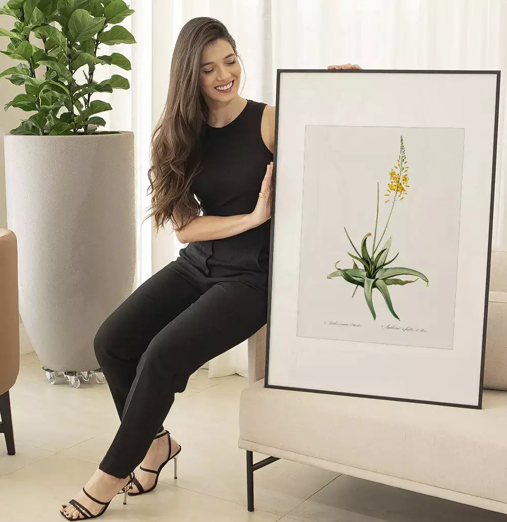 Quadro Decorativo Coleção Botanical Floral Anthericum · foto 6