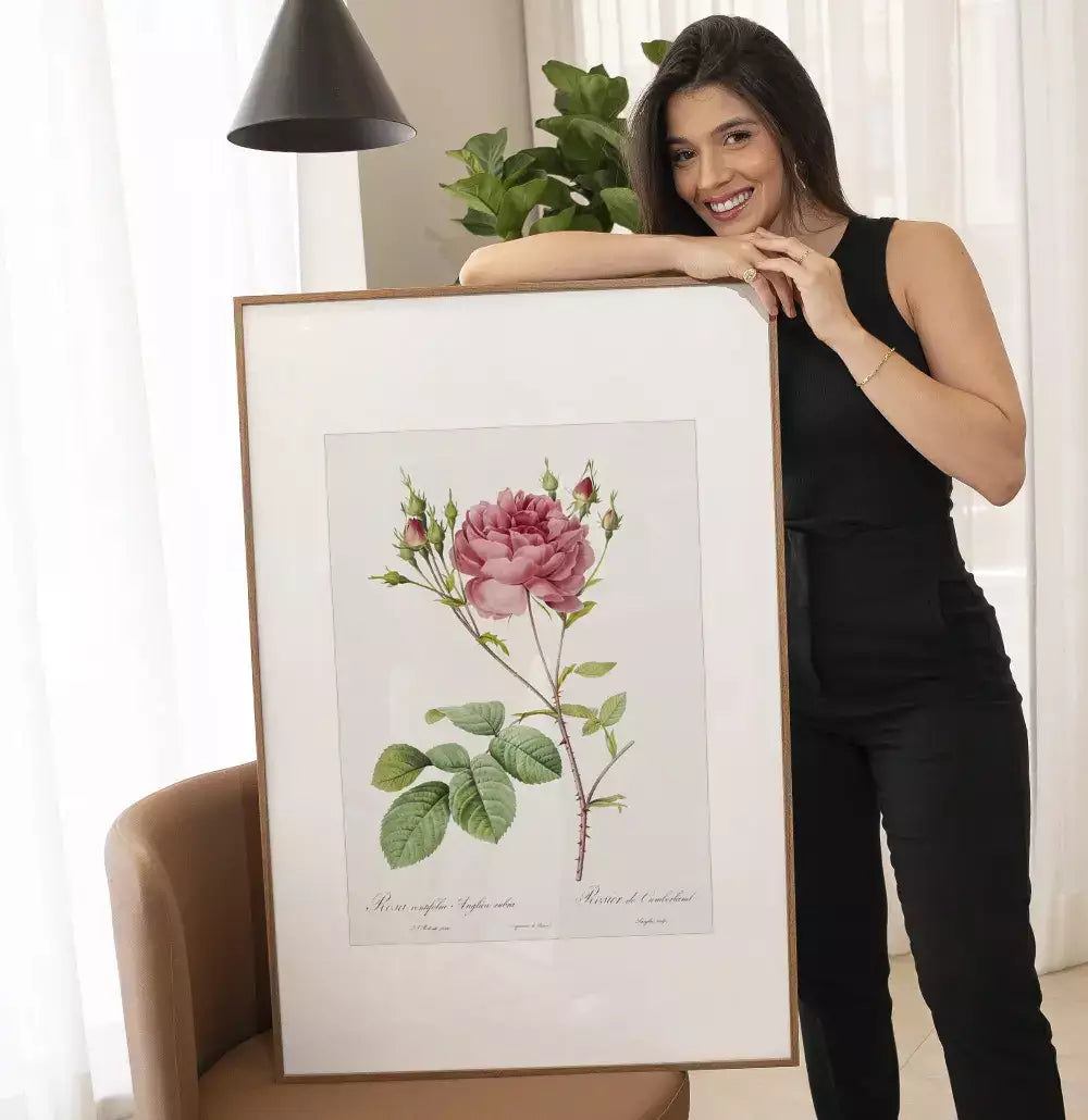Quadro Decorativo Coleção Botanical Floral Centifolia Rubra · foto 2