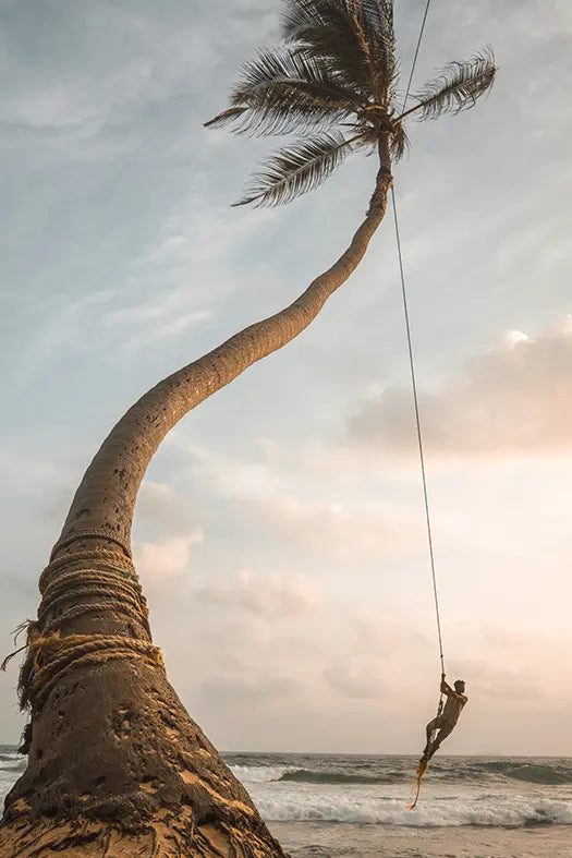 arte da peça 1