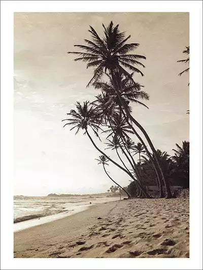 arte da peça 1