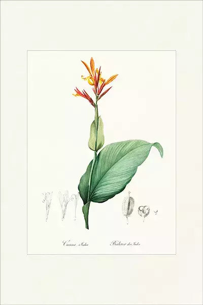 arte da peça 1