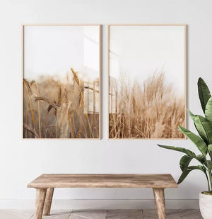 Quadro no ambiente