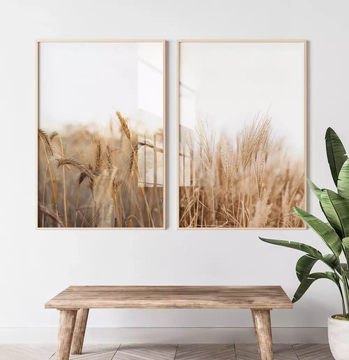 Kit Quadro Decorativo Capim dos Pampas
