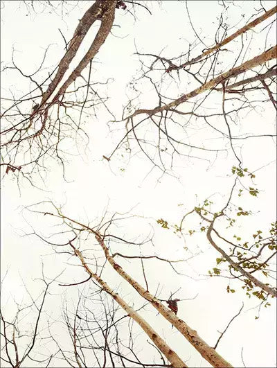 arte da peça 2