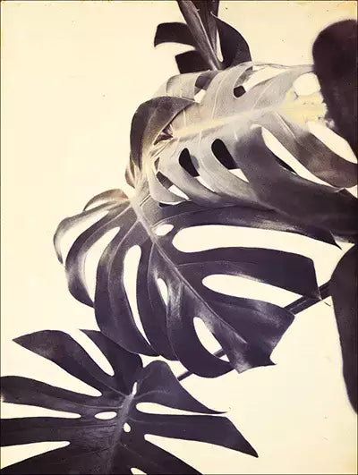 arte da peça 3