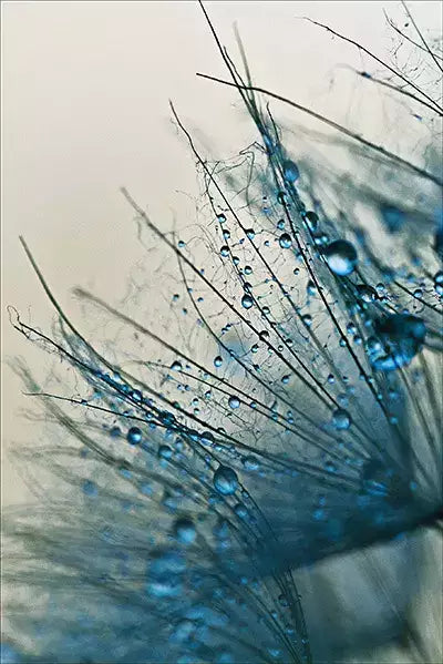 arte da peça 1