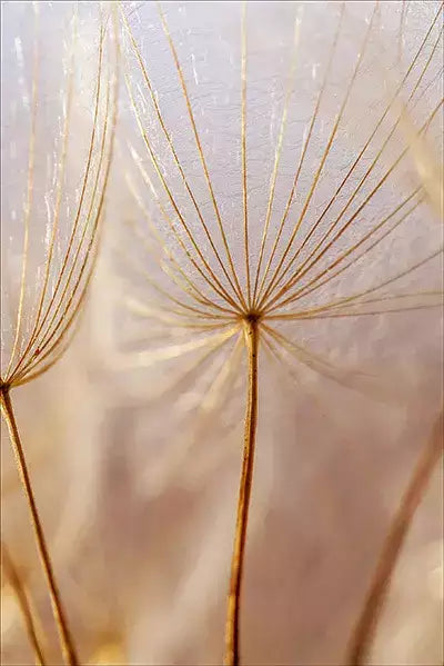 arte da peça 2