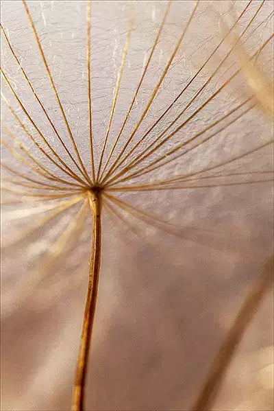 arte da peça 3