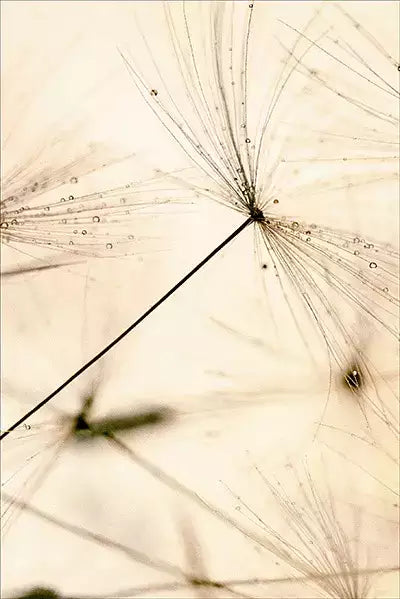 arte da peça 2