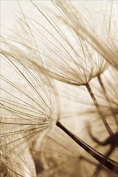 arte da peça 2
