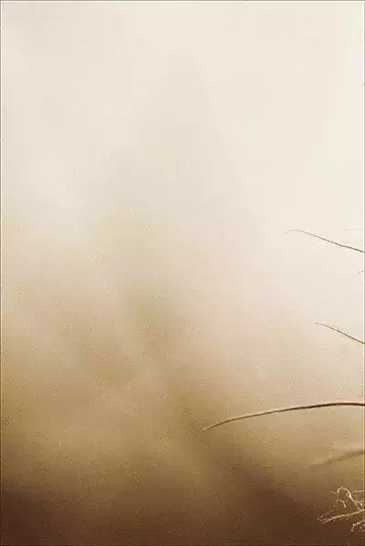 arte da peça 1