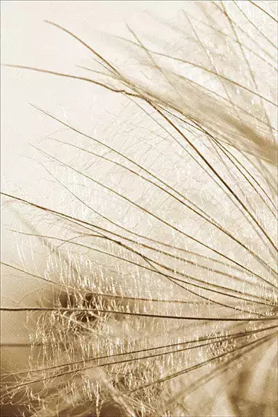 arte da peça 2