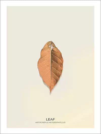 arte da peça 1