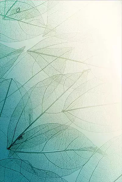 arte da peça 1