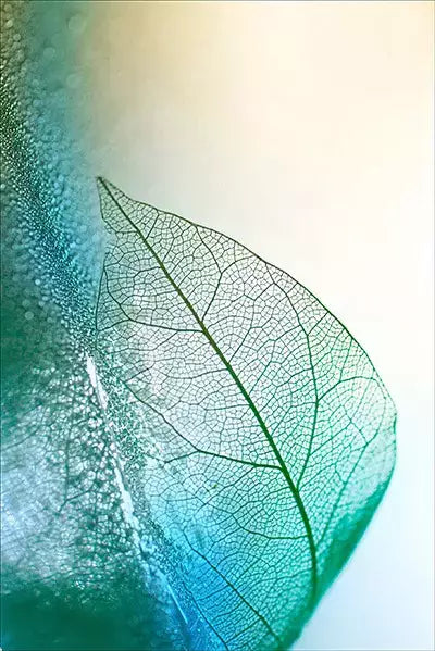 arte da peça 2
