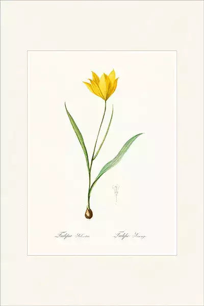 arte da peça 3