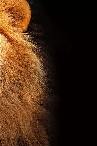 arte da peça 3