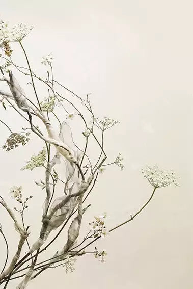 arte da peça 2