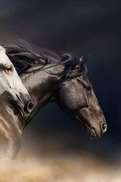 arte da peça 3