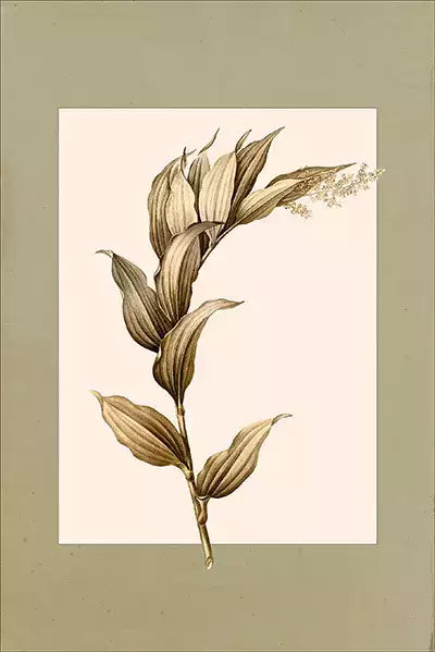 arte da peça 1