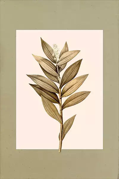 arte da peça 2