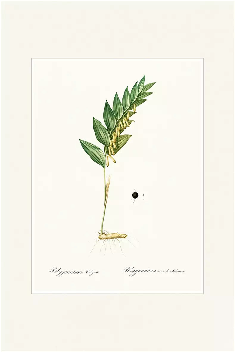 arte da peça 1