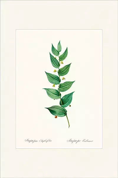 arte da peça 1
