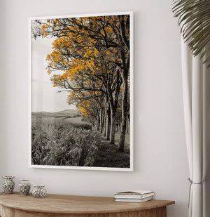 Quadro no ambiente