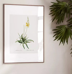 Quadro no ambiente