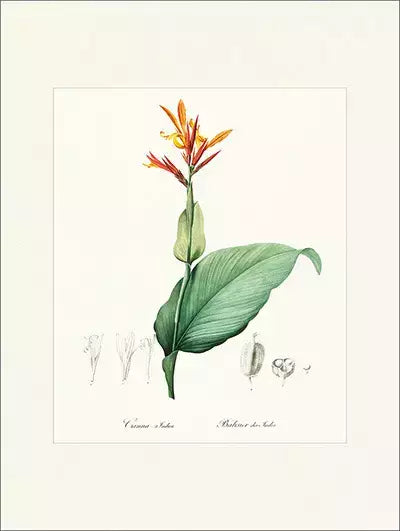 arte da peça 1