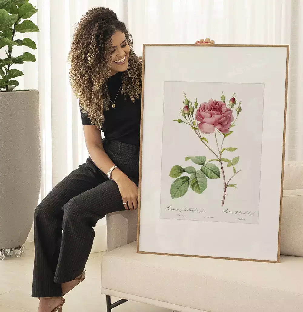 Quadro Decorativo Coleção Botanical Floral Centifolia Rubra · foto 5