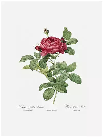 arte da peça 1