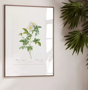 Quadro no ambiente