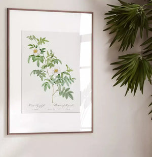 Quadro no ambiente