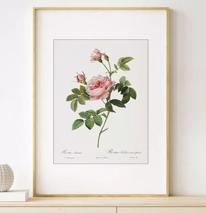 Quadro no ambiente