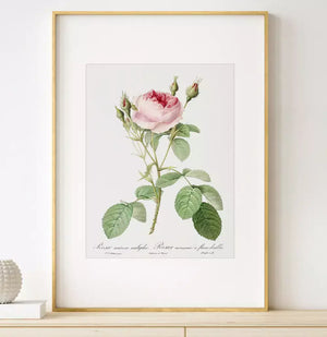 Quadro no ambiente
