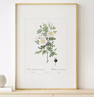Quadro no ambiente
