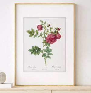 Quadro no ambiente