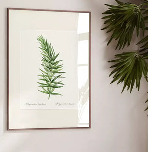 Quadro no ambiente