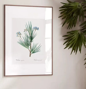 Quadro no ambiente