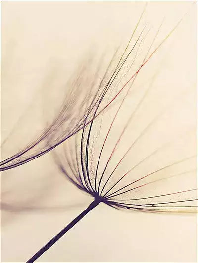 arte da peça 1