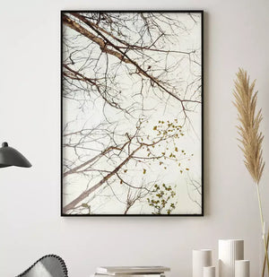 Quadro no ambiente