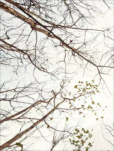 arte da peça 1