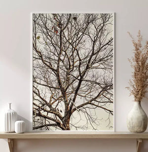 Quadro no ambiente