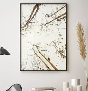 Quadro no ambiente