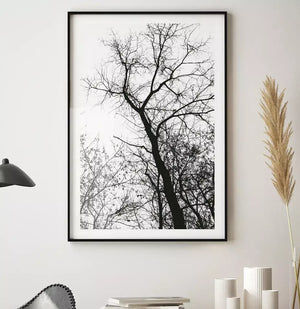 Quadro no ambiente