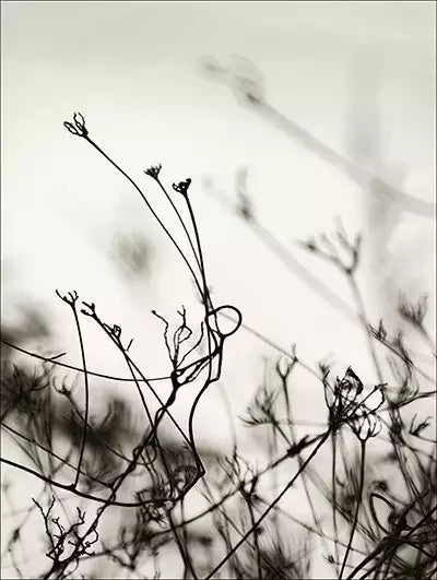arte da peça 1