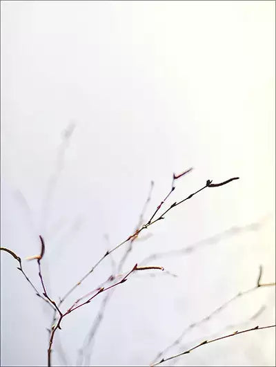 arte da peça 1