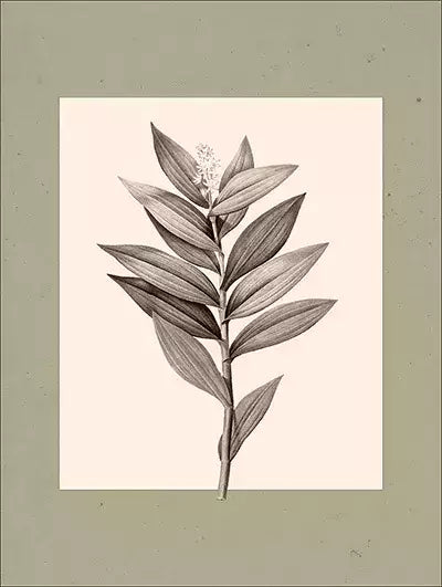 arte da peça 1