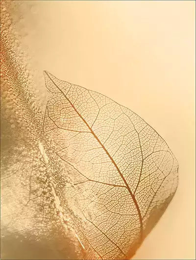 arte da peça 1